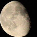 olikol